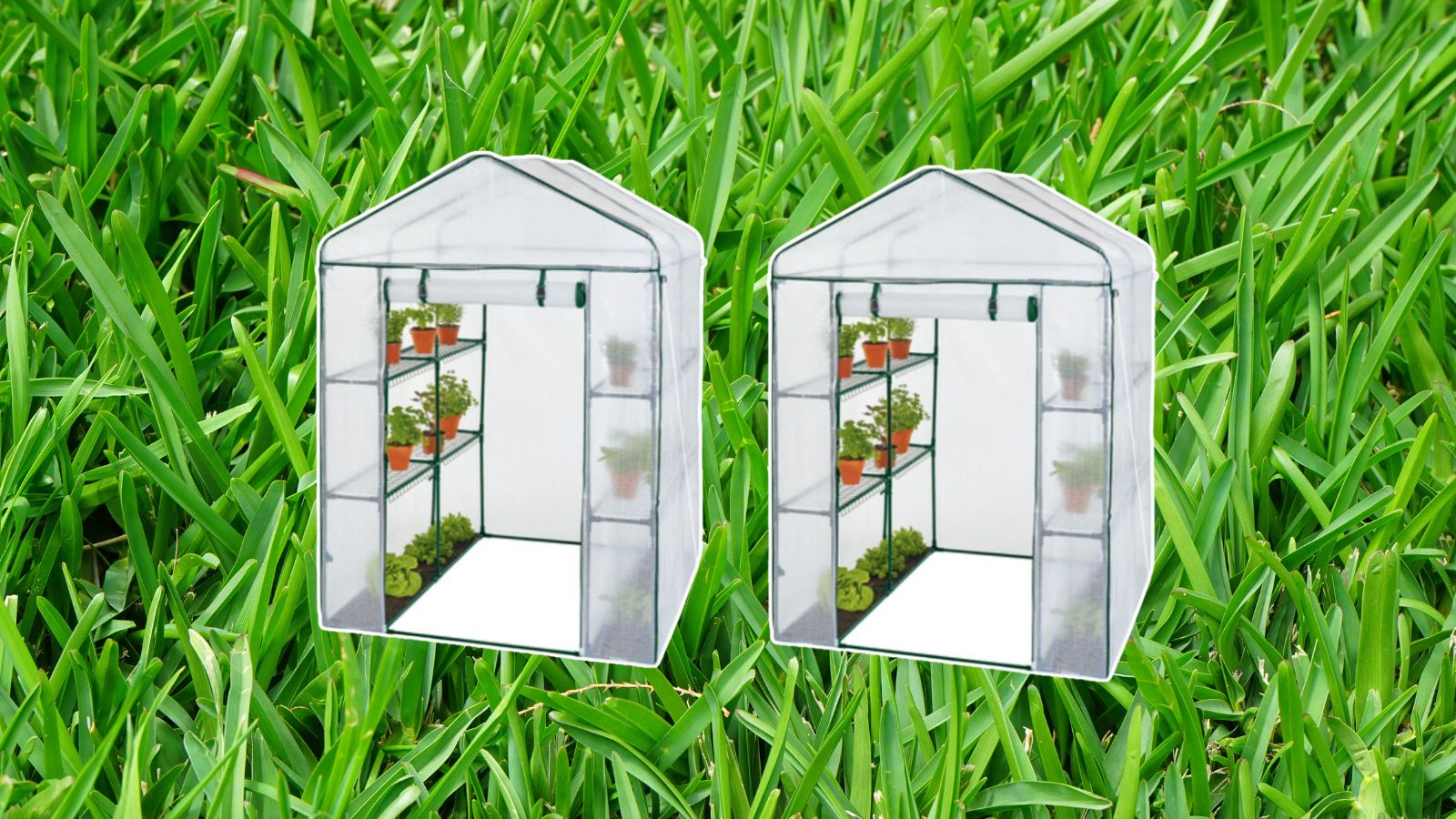 The Lidl greenhouse is back for $59.99, but not for long