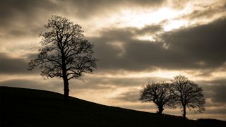 Nikon Z 70-200 f2/8 sample image