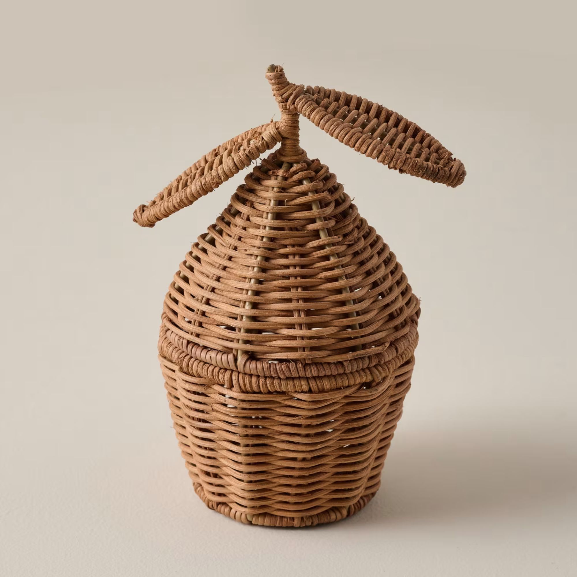 Woven Lemon Canister