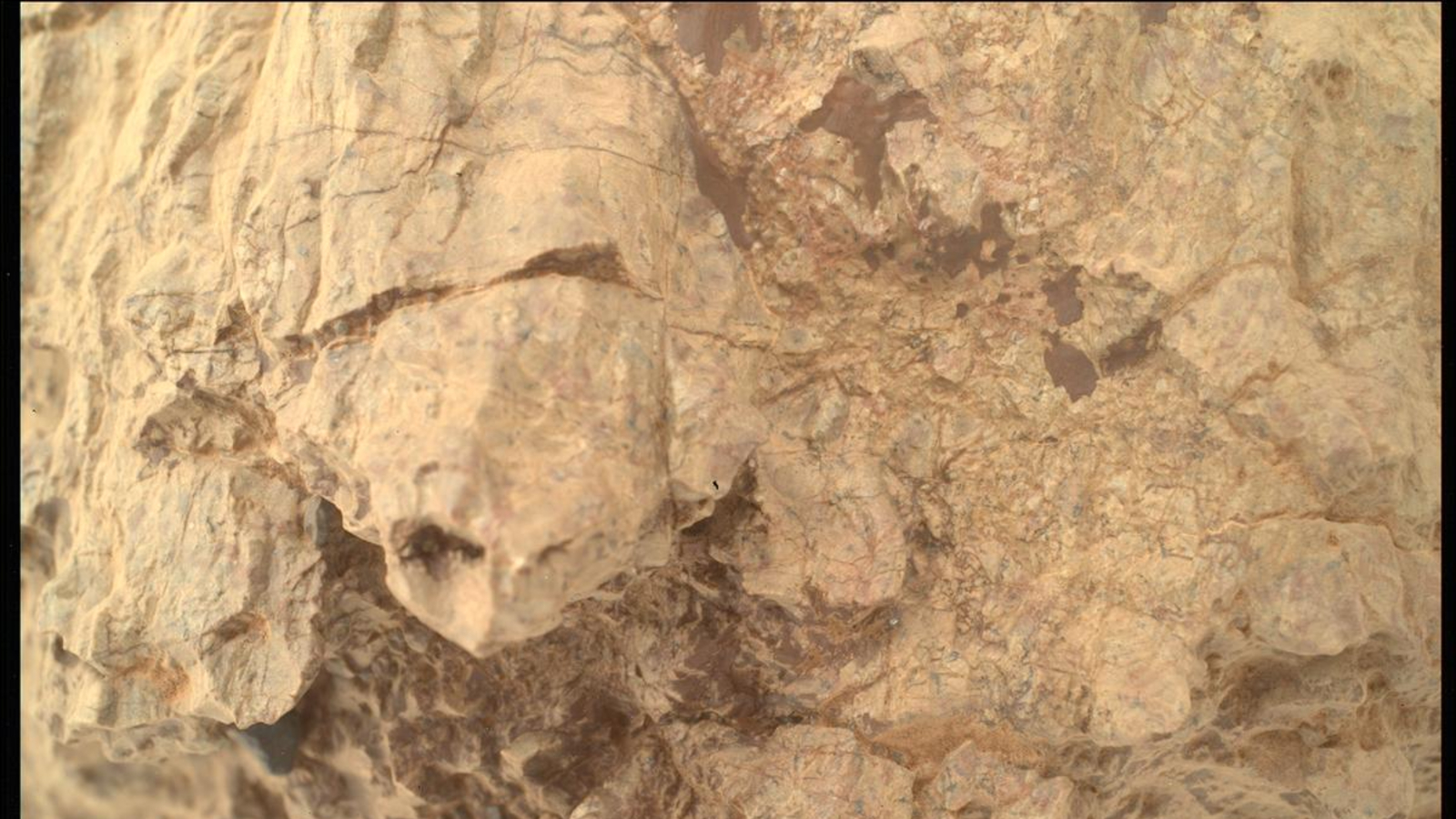 NASA Perseverance rover spies a ‘turtle’ on Mars photo of the day for Sept. 5, 2025