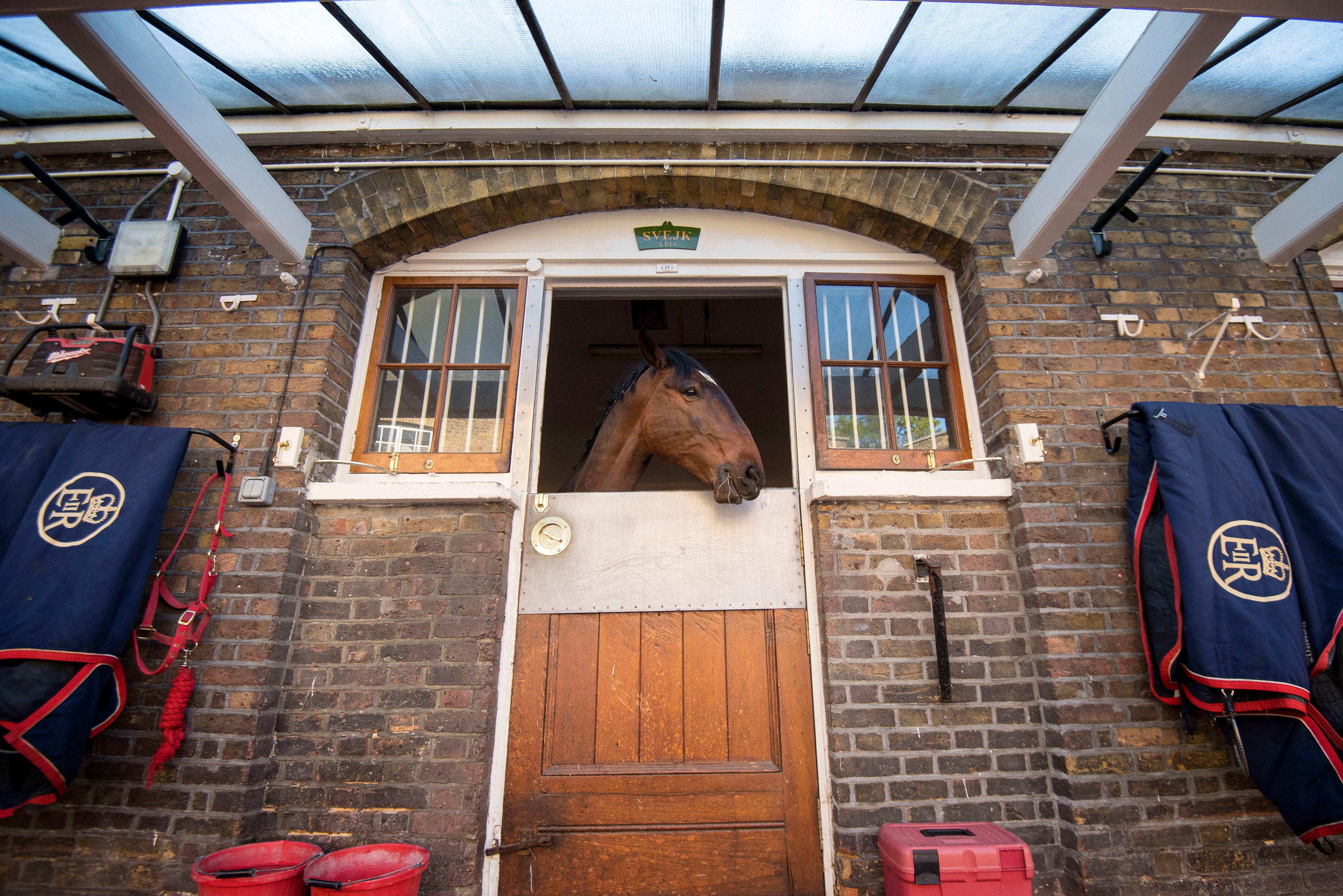 Images from the Royal Mews in Buckingham palace