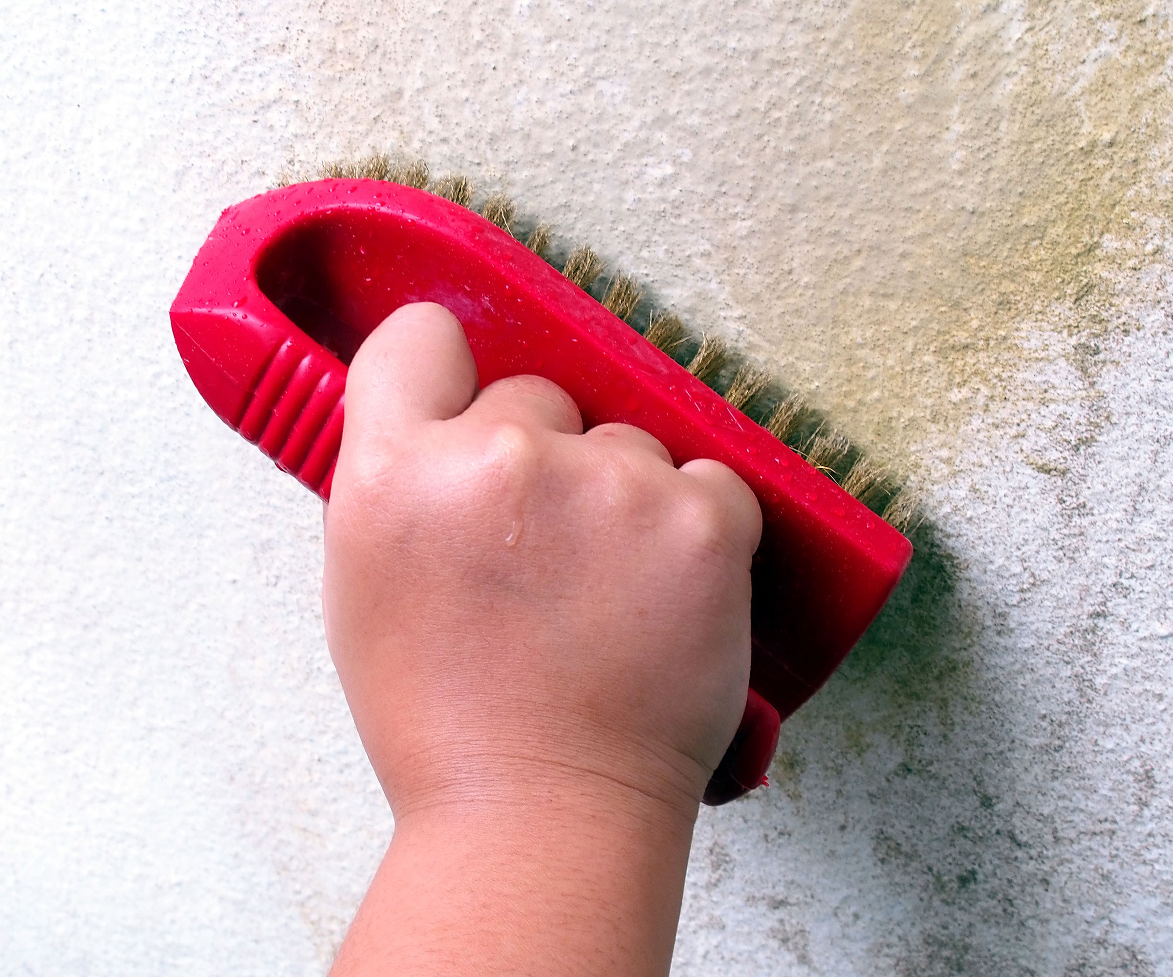 Hand using red scrubbing brush to clean mould off exterior white wall