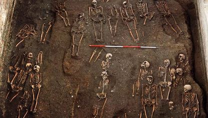 The skeletons found at the site