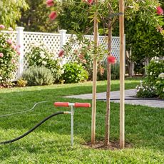 A root irrigator next to a newly planted tree in a backyard