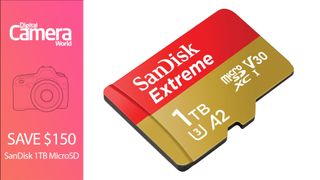 SanDisk Extreme 1TB MicroSD