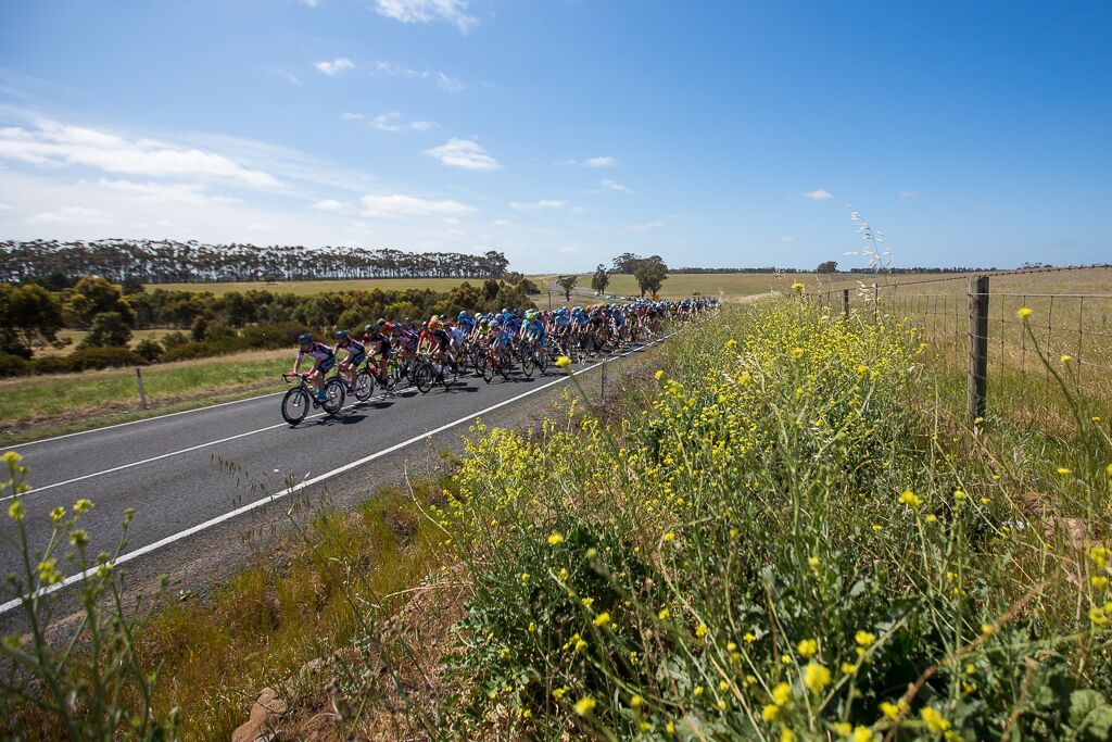 The Melbourne to Warrnambool peloton