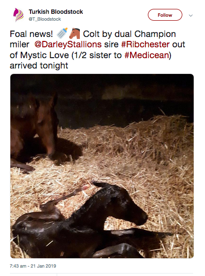 Ribchester.png