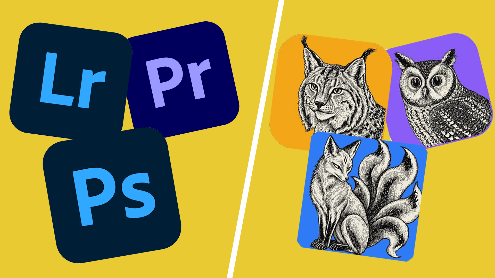 ArtCraft software vs Adobe Creative Cloud software
