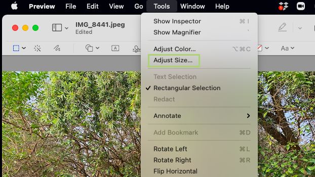 how to crop a jpeg image on mac