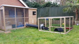 ideal accommodation for housing rabbits