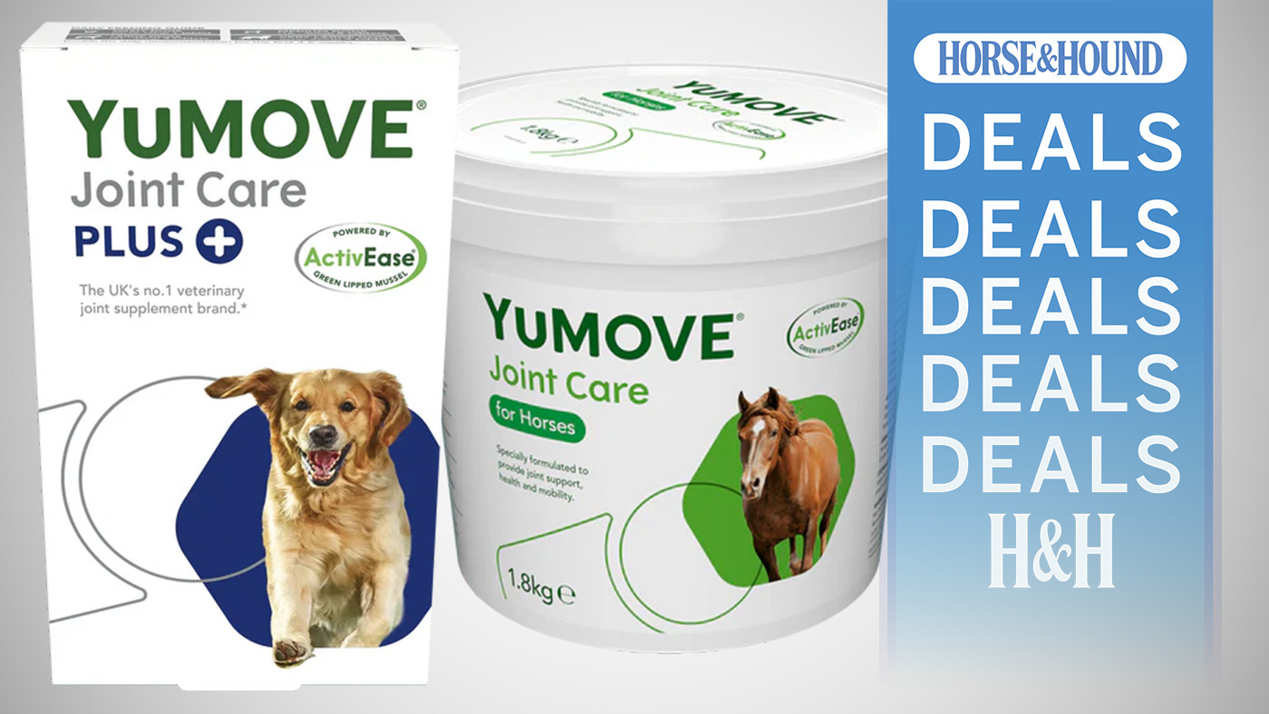 YuMove Horse and Hound lead image
