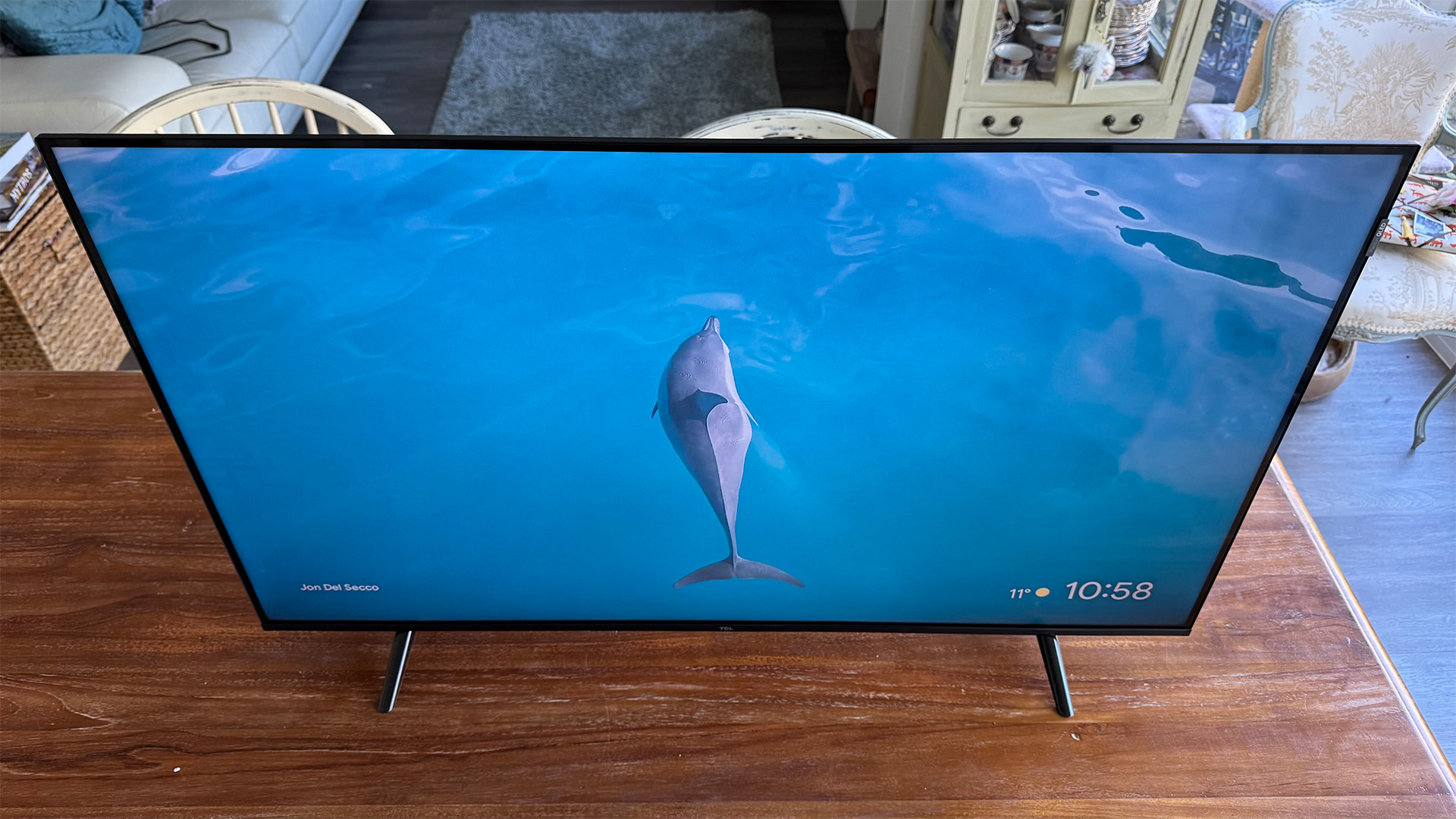 TCL P7K 43-inch TV on wooden TV, on screen is dolphin