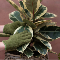 Houseplant dust remover gloves, £3.99 at Waitrose