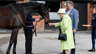 Her Majesty Queen Elizabeth II Visits Somerset DITCHEAT, UNITED KINGDOM - MARCH 28: Queen Elizabeth ll feeds a carrot to a horse trained by Paul Nicholls (C) during a visit to Manor Farm Stables on March 28, 2019 in Ditcheat, England.