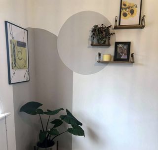A wall with a dark grey painted arch and a light grey painted circle, decorated with photos and shelves with plants on.