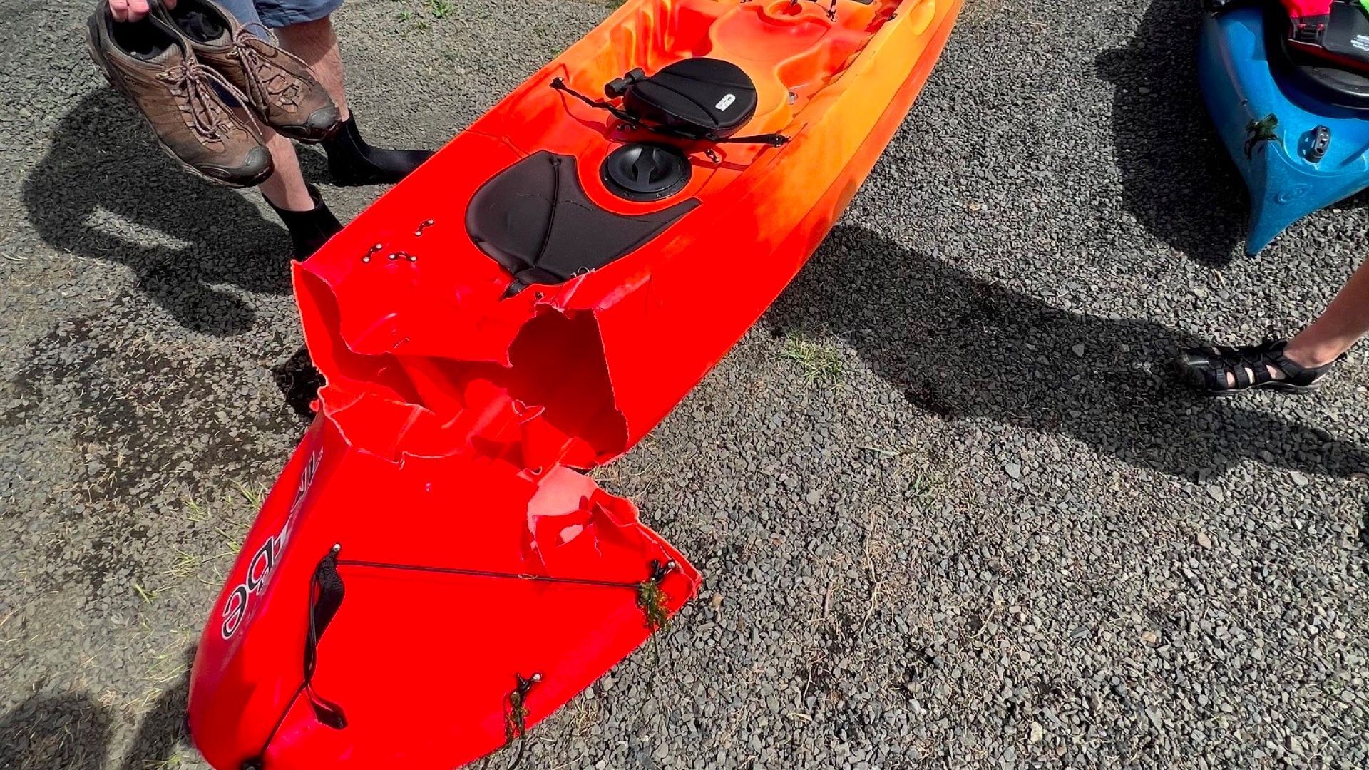 Father and son jump to safety as power boat slices through their kayak - and doesn't stop