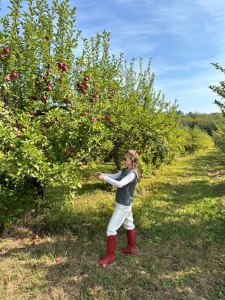 Apple-picking