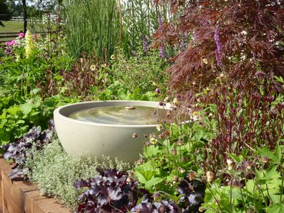 North-facing gardens: your ultimate guide to design and planting ...