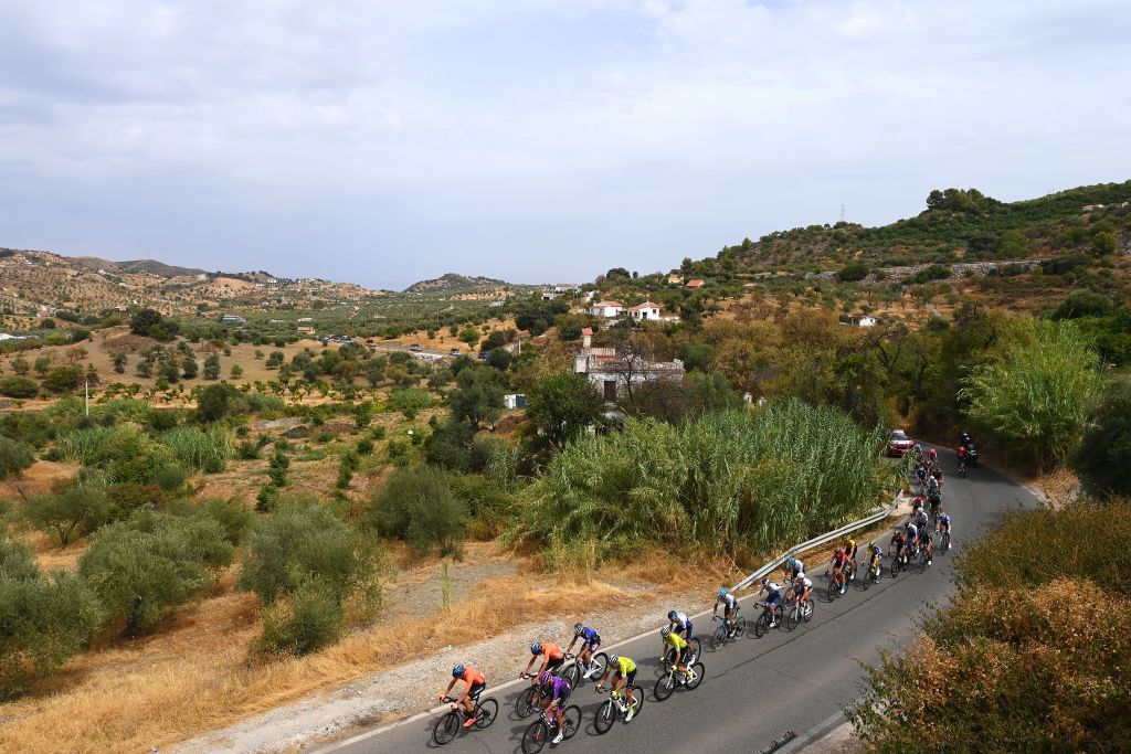 ESTEPONA SPAIN SEPTEMBER 01 Samuele Battistella of Italy and Team Astana Qazaqstan Edoardo Zambanini of Italy and Team Bahrain Victorious Mike Teunissen of Netherlands and Team Jumbo Visma Clment Champoussin of France and AG2R Citren Team Alexey Lutsenko of Kazahkstan and Team Astana Qazaqstan Matteo Fabbro of Italy and Team Bora Hansgrohe Jonathan Klever Caicedo Cepeda of Ecuador and Team EF Education Easypost Wilco Kelderman of Netherlands and Team Bora Hansgrohe James Callum Shaw of United Kingdom and Team EF Education Easypost Richard Carapaz of Ecuador and Team INEOS Grenadiers Patrick Bevin of New Zealand and Team Israel Premier Tech Jose Joaquin Rojas Gil of Spain and Movistar Team Rmi Cavagna of France and Team QuickStep Alpha Vinyl Lawson Craddock of United States and Team BikeExchange Jayco Marco Brenner of Germany and Team DSM Antonio Tiberi of Italy and Team Trek Segafredo Marc Soler Gimenez of Spain and UAE Team Emirates Jay Vine of Australia and Team AlpecinDeceuninck Polka Dot Mountain Jersey Jos Manuel Daz Gallego of Spain and Team Burgos BH Carlos Canal Blanco of Spain and Team Euskaltel Euskadi Lukasz Owsian of Poland and Team Arka Samsic and a general view of the breakaway during the 77th Tour of Spain 2022 Stage 12 a 1927km stage from Salobrea Peas Blancas Estepona 1260m LaVuelta22 WorldTour on September 01 2022 in Estepona Spain Photo by Tim de WaeleGetty Images