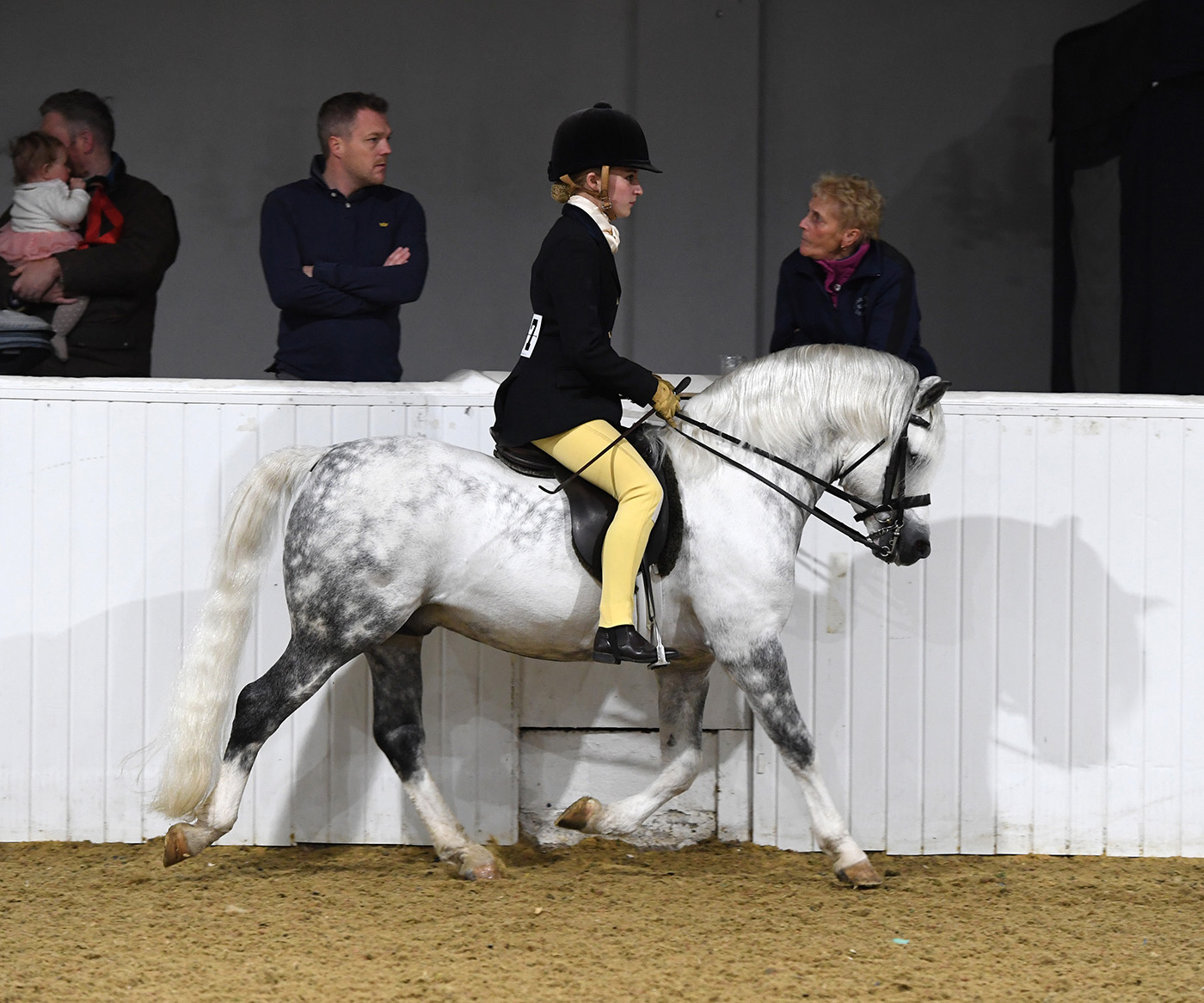 Heritage Show 16.10.21No 207 Dukeshill Pearly Spencer. Victoria Harper