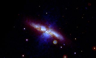 New Supernova in Galaxy M82 