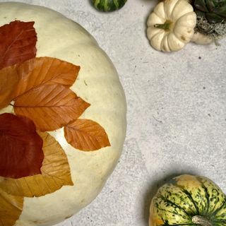 autumn leaves on a ghost pumpkin