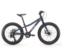 Co-op Cycles REV 20: 399.99$279.29at REI Co-op30% off -