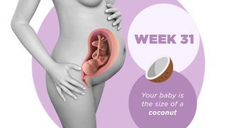 Pregnancy week by week 31