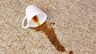 Coffee stain on carpet