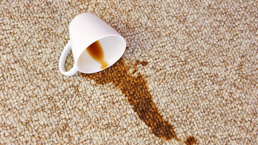 Coffee stain on carpet