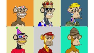 Bored Ape Yacht Club art: images of bored monkeys
