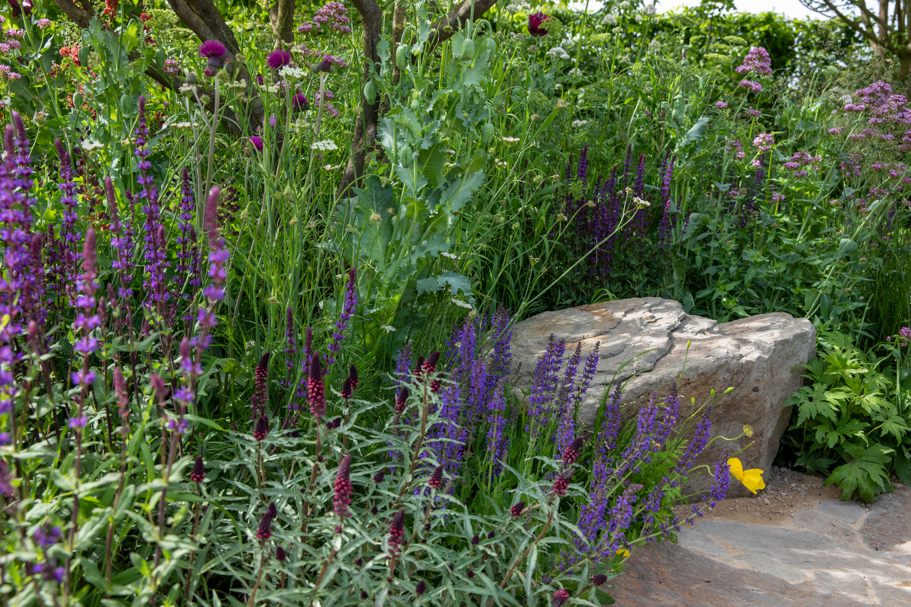 large boulder placed in a flower garden with purple, mauve and pink flowers including salvia