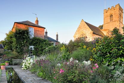 Rosa ‘Mutabilis’ with Calycanthus floridus ‘Aphrodite’ to its right. The garden of the Old Rectory at Preston Capes, Northamptonshire. Photograph by Britt Willoughby Dyer/Country Life.