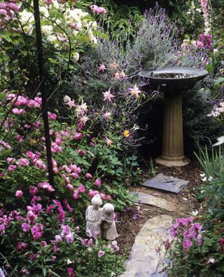 bird bath in a cottage garden with flowers all around and a small garden path