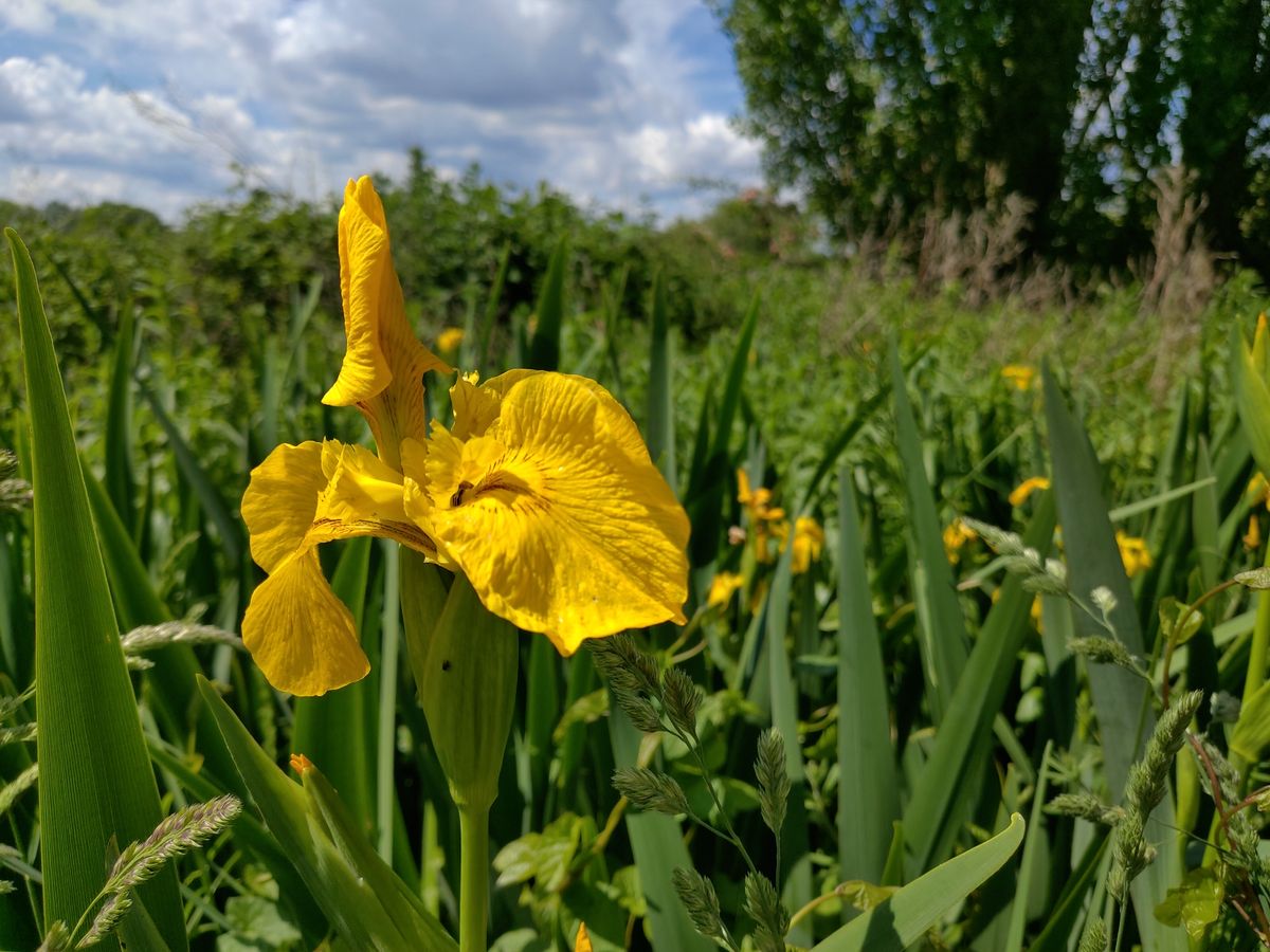 This shows you the natural bokeh of the main lens. Image credit: TechRadar