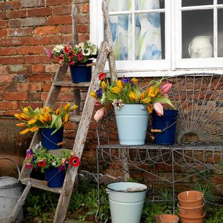 garden ladder with flower pots decoration