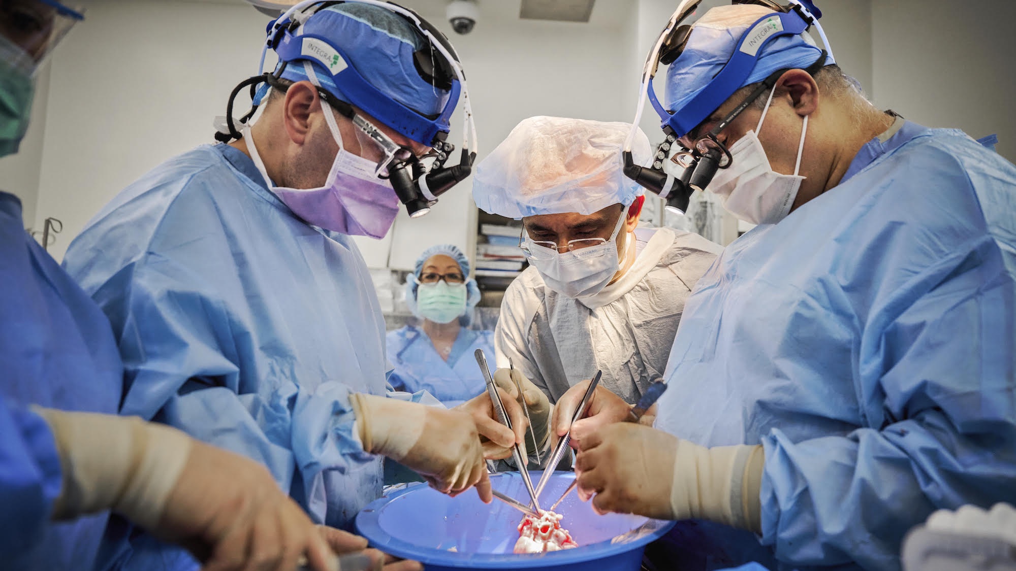 Surgeons perform a transplant operation on a human patient using a pig's heart.