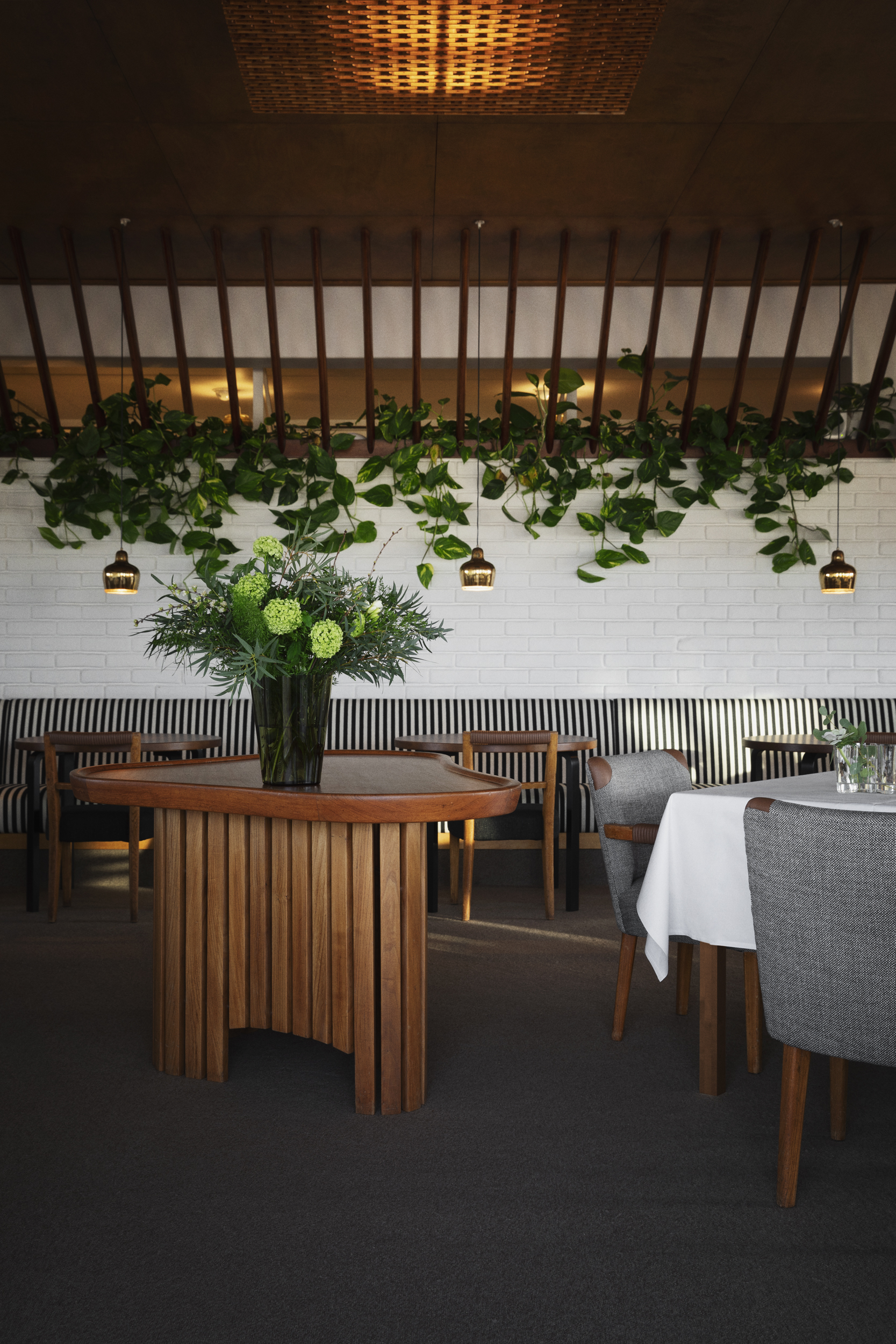 Restaurant interior with black and white striped benched and wooden chairs. The white, tiled walls are decorated with hanging greenery with three, bronze pendant lights above the tables.