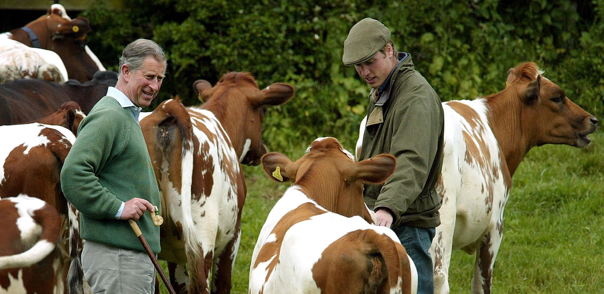 Prince William talks to his father, the Prince of Wales on his father&#039;s Duchy Home Farm in Tetbury, Gloucestershire.