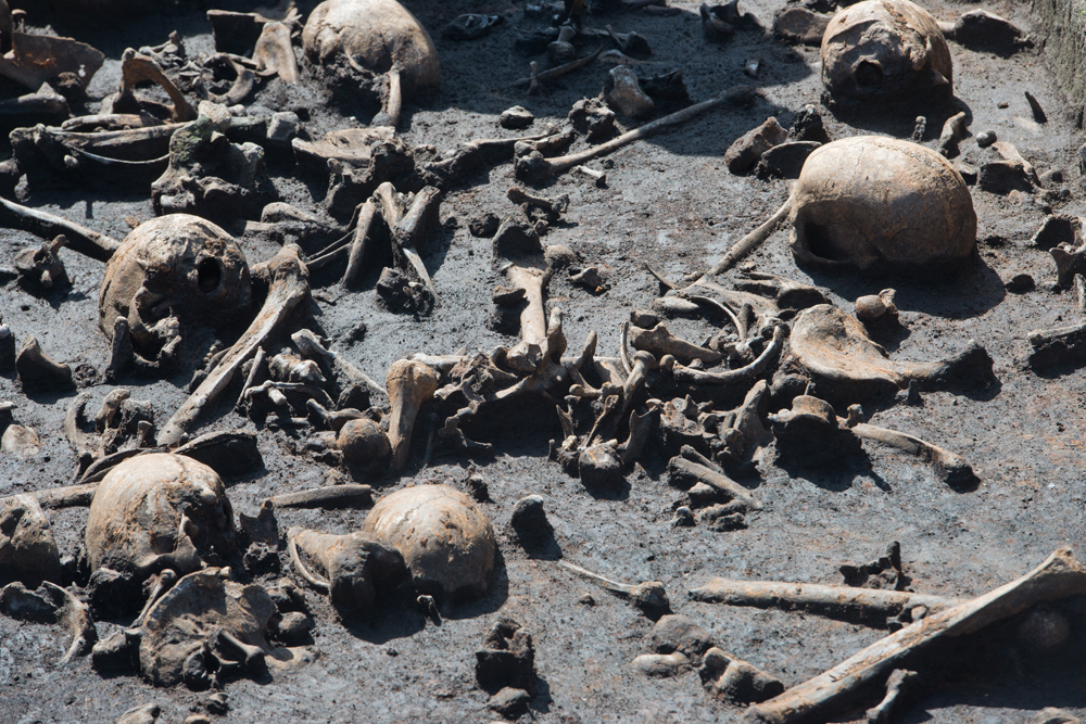 Europe's Oldest Battlefield Yields Clues to Fighters' Identities | Live  Science