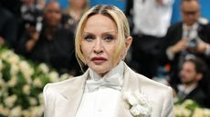 madonna at the met gala