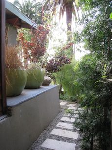 Side Of The House Garden Patio
