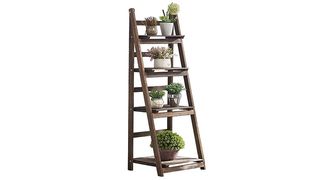 A wooden ladder style shelf for plants