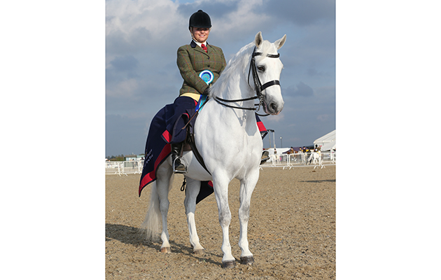 class 81 OLYMPIA SEMI FINAL New FOREST &amp;amp; CONNEMARA WINNER 240 NIRE VALLEY CHARLIE R'. CHARLOTTE ALFORD