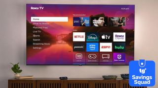 A wall-mounted Roku Plus Series 4K TV displaying the Roku home screen above a credenza in a modern living room setting. There is a super-imposed badge in the bottom corner that reads: "TG Savings Squad".