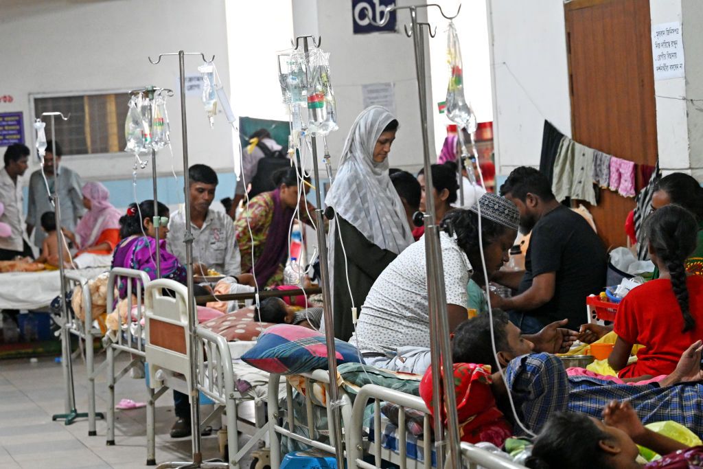 300 dead in dengue fever outbreak in Bangladesh | The Week
