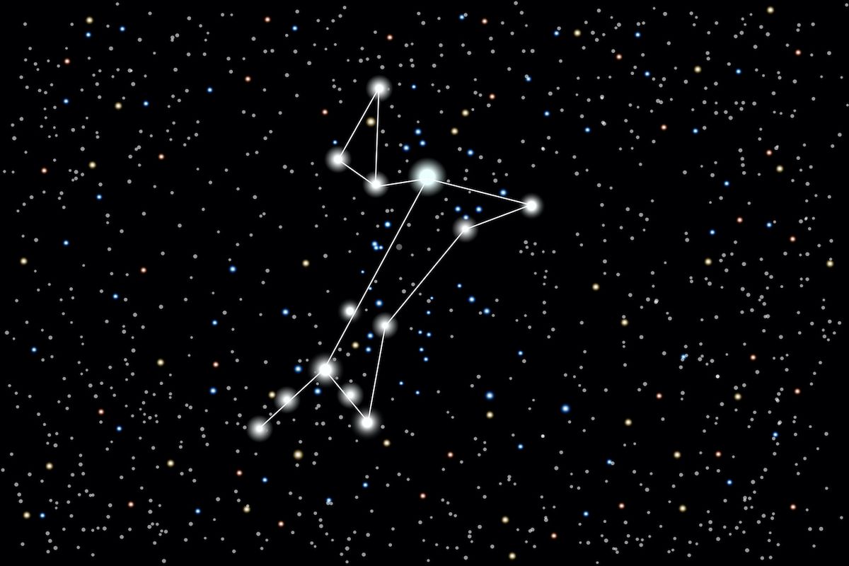 This illustration displays the shape of the Canis Major <b>constellation</b>. 