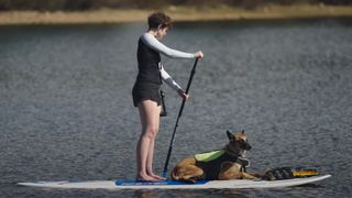 Screenshot of landscape photographer Sydney Smolla from Adorama's Picture America video series, showing her paddleboarding with her Belgian Malinois