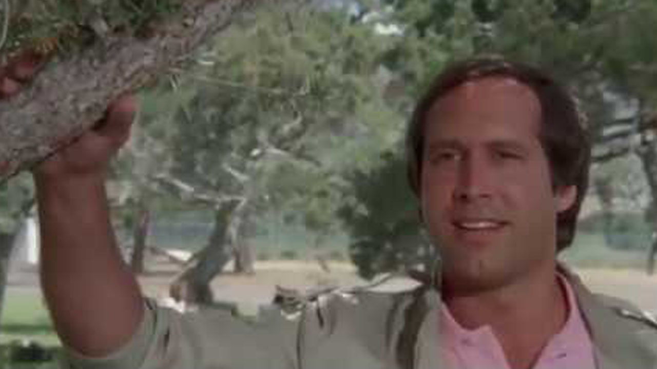 Chevy Chase in Vacation