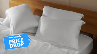 Coop Sleep Goods Essence Pillows laid out on the bed